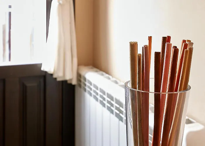 Santa Cruz * ブロト